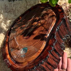 Porta pivotante de cedro Mara 120x210cm