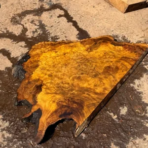 Assoalho Sucupira amarela